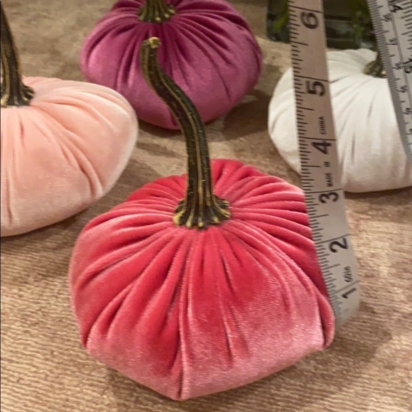 Fall Decor Plush Pumpkin Set of 4 monochromatic Pinks - Picture 4 of 4